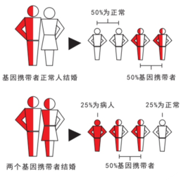 1588918350895067513.png 图片1.png