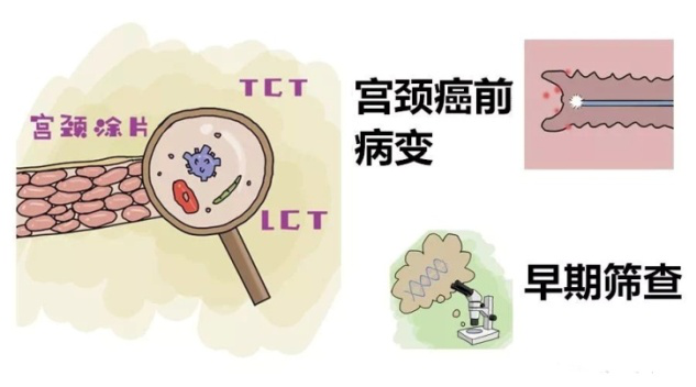 1589854188458076866.png 图片1.png