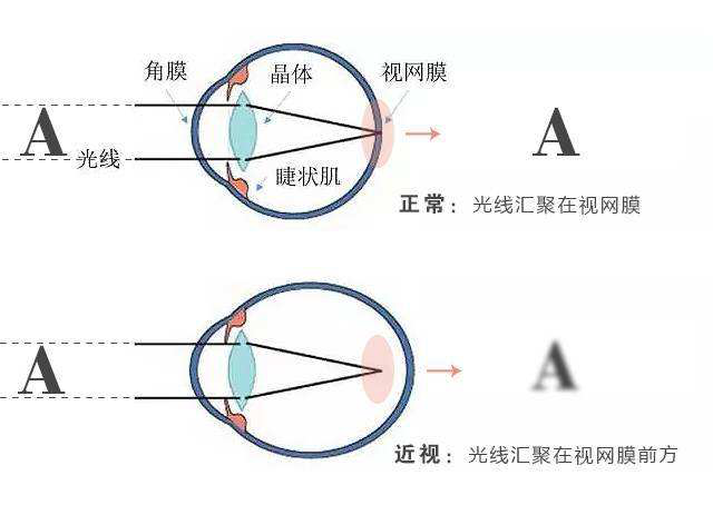 1591578089593058003.png 图片1.png